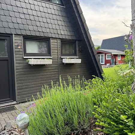 Sauerland Schwalbenhaus In Semesterbostad *