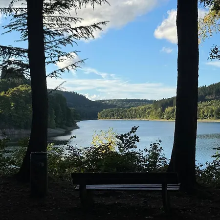 Sauerland Schwalbenhaus In Semesterbostad *