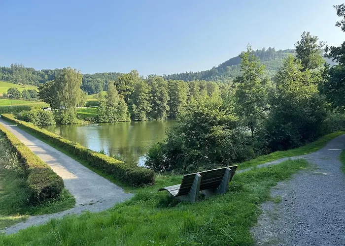 Casa vacanze Sauerland Schwalbenhaus In *