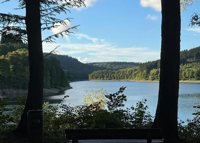 Sauerland Schwalbenhaus In Casa vacanze *