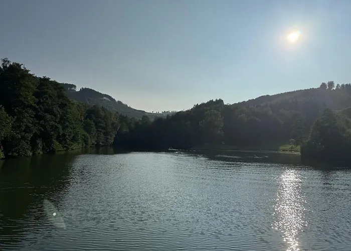 Sauerland Schwalbenhaus In